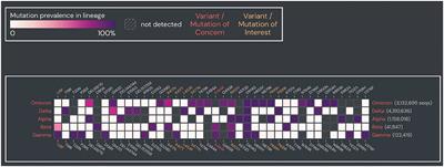 Concerns on the Effectiveness of Current COVID-19 Vaccines